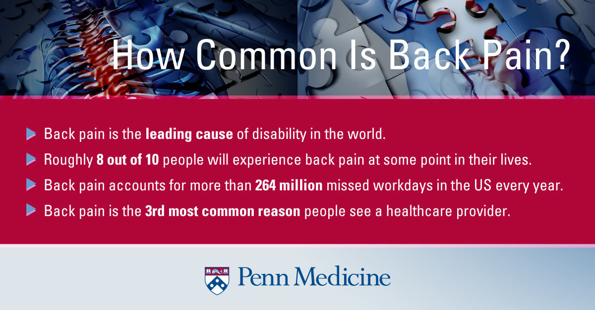 how common is back pain infographic